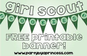 GirlScoutBanner